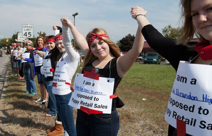 Take a Stand Against Puppy Mills