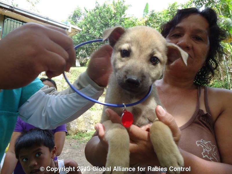 mass dog vaccinations are key to eliminatin rabies