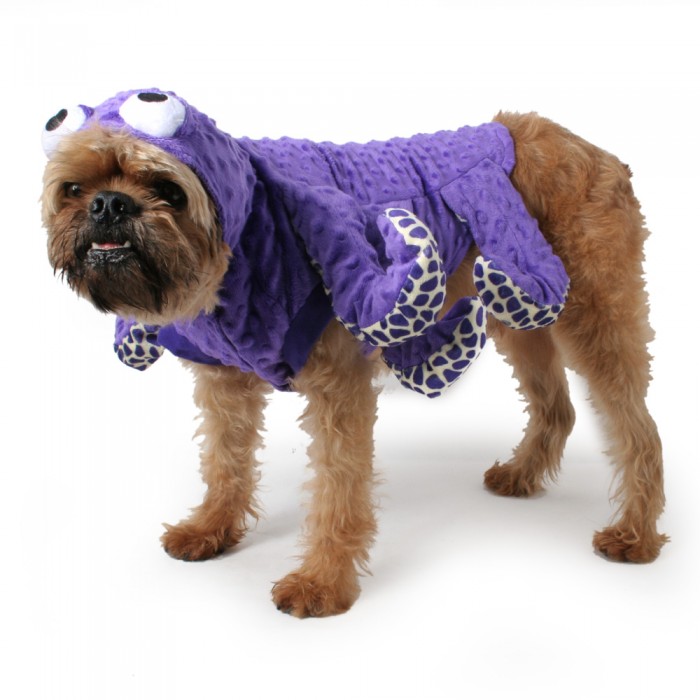 best dog halloween costumes