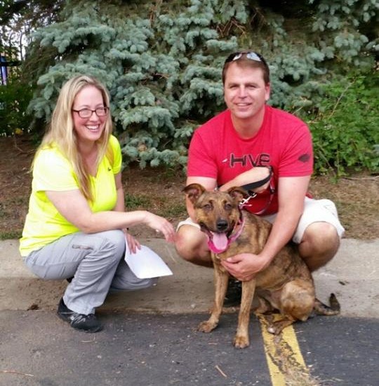 Shelter Dogs Smiling Adopted