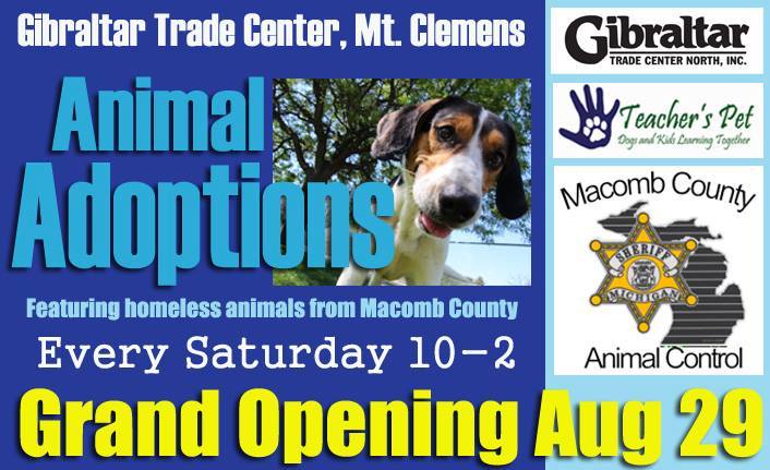 Pet Adoption in Macomb County