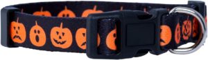 Halloween dog collar