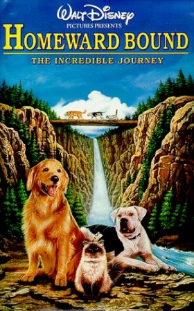 Homeward Bound: The Incredible Journey