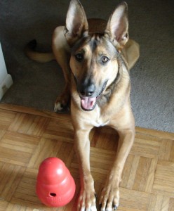 laika and her kong