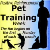 positive reinforcement pet training