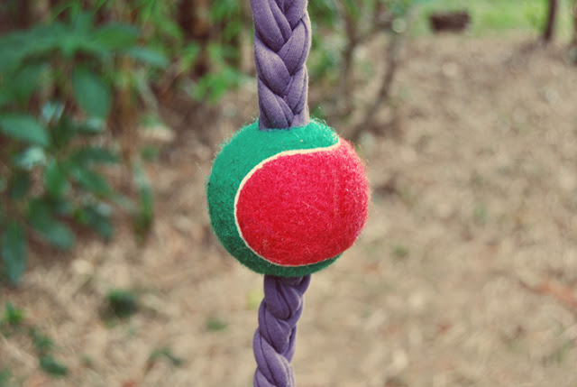 Simple DIY Dog Toys