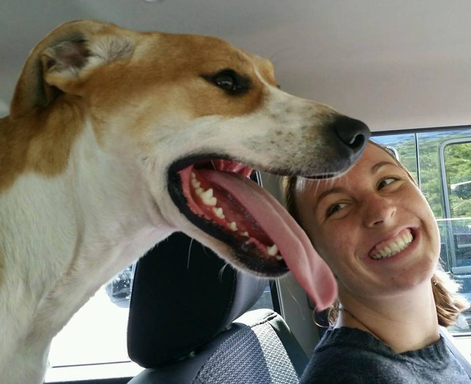 Happy Dogs Smiling After Being Adopted