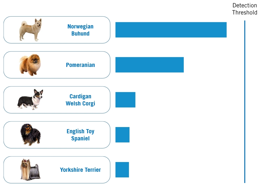 dog dna test results