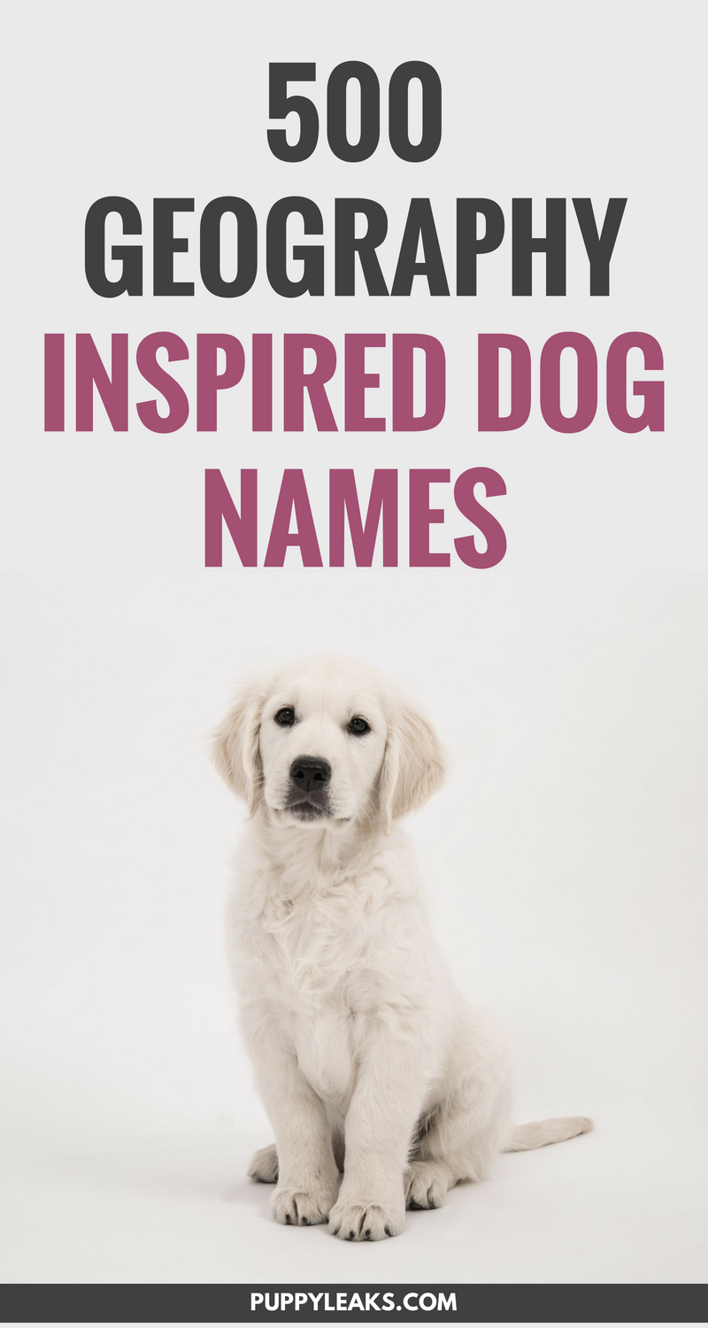 500 Geography Themed Dog Names