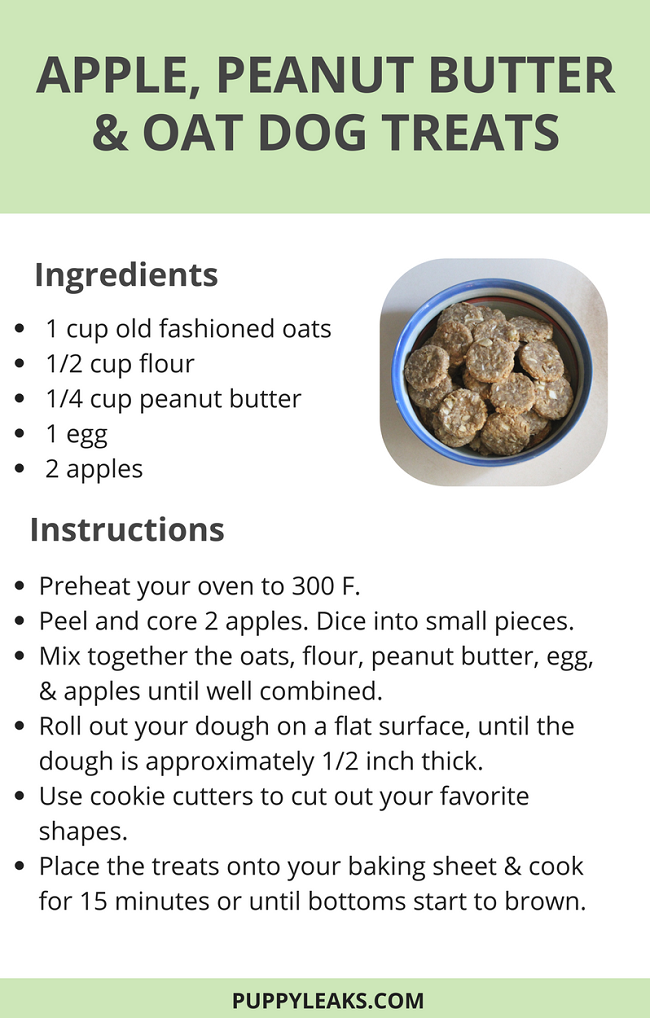 Apple, Peanut Butter & Oat Homemade Dog Treats