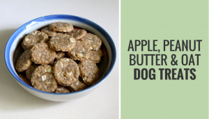 Apple, Peanut Butter & Oat Dog Treats