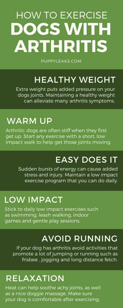 How to Exercise a Dog With Arthritis. Exercising a dog with arthritis or other mobility issues can be tricky; too much exercise can cause pain, and too little can make the condition worse. Here's some basic tips on exercising a dog with arthritis and finding the right balance.