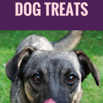 10 Reasons Why Carrots Make Great Dog Treats