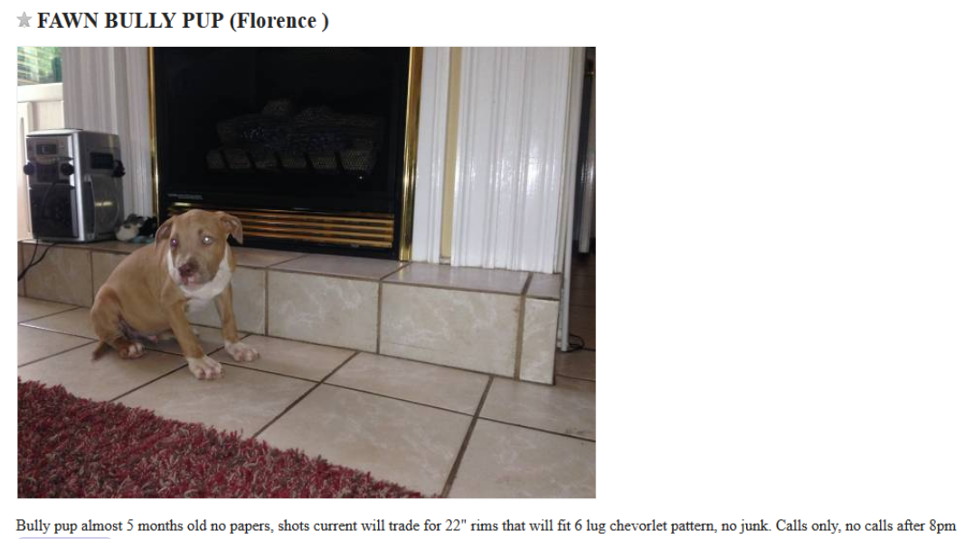 craigslist dog