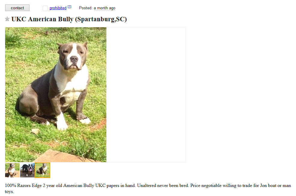 craigslist dogs