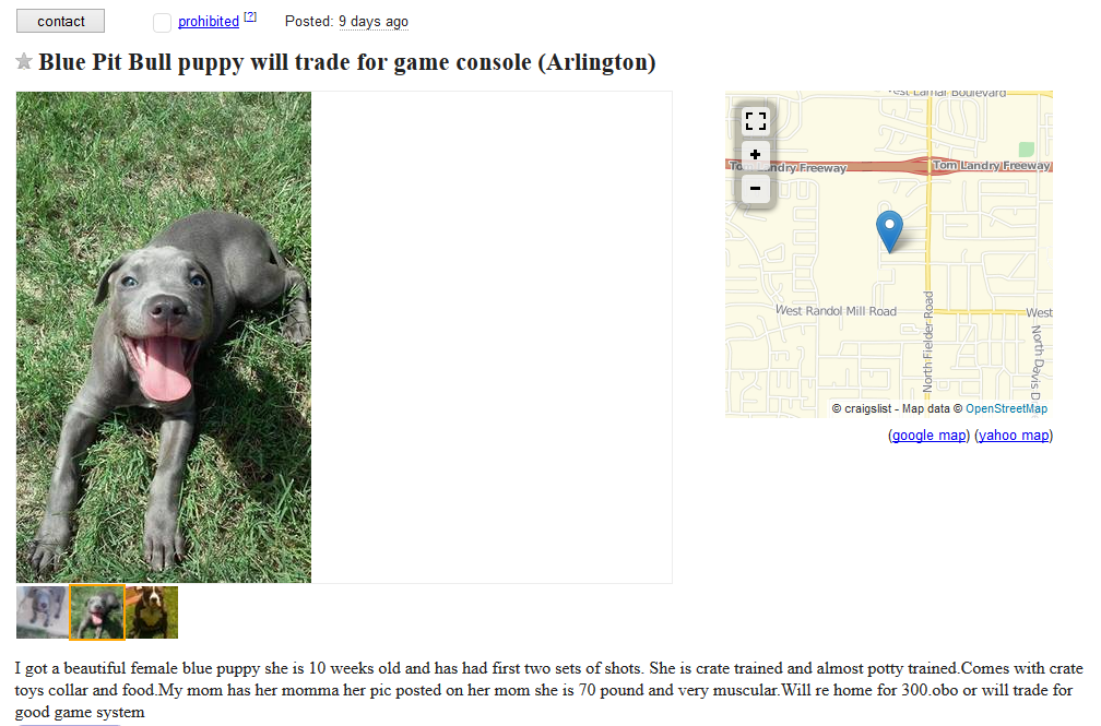 craigslist dog