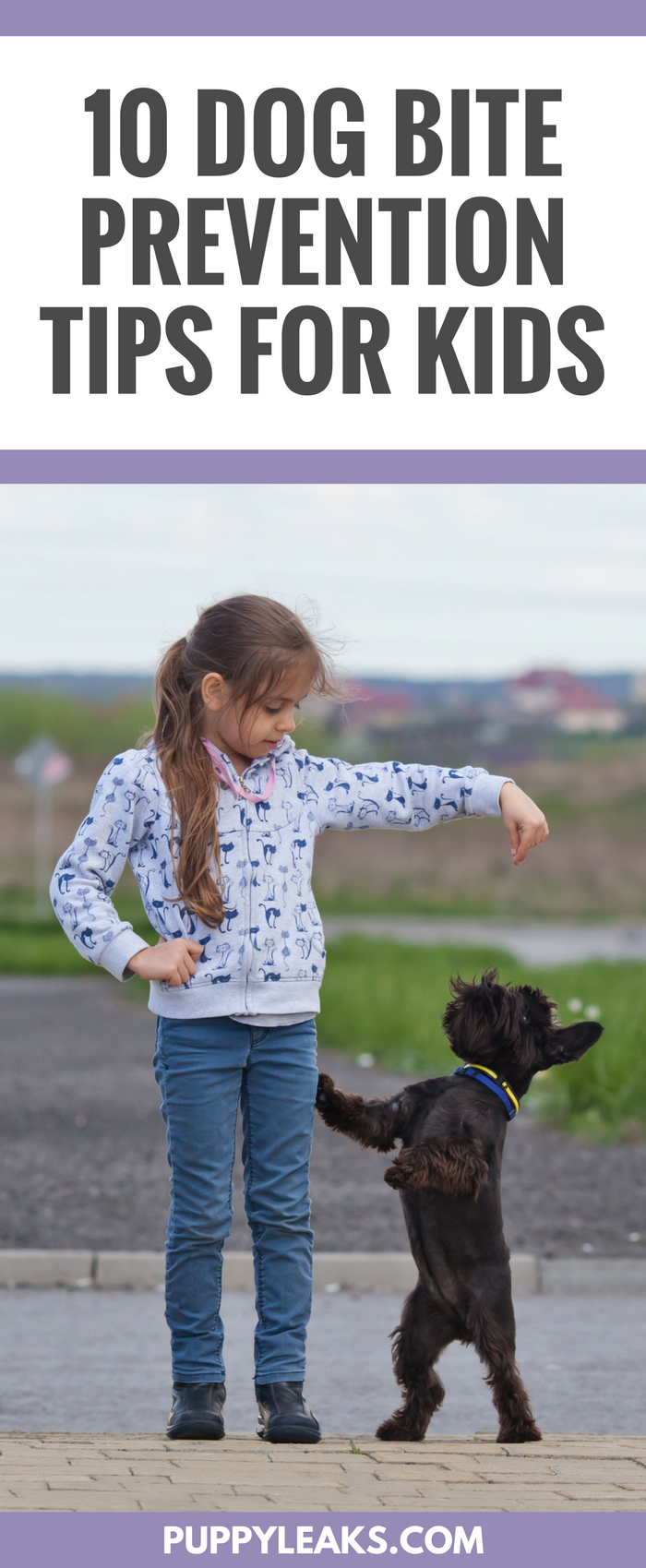 10 Dog Bite Prevention Tips for Kids