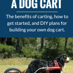 How to build a dog cart