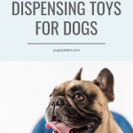 Food dispensing toys