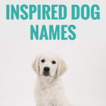 500 Geography Inspired Dog Names