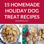 15 Homemade Holiday Dog Treat Recipes