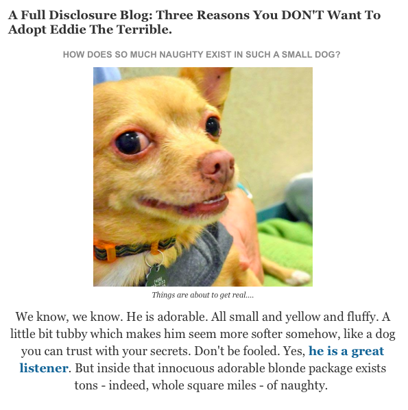 Best Dog Articles of the Week