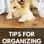 Tips for Organizing Your Dog Supplies