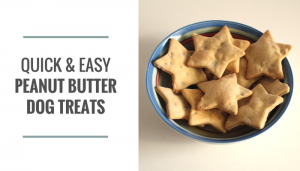 Quick & Easy Peanut Butter Dog Treats