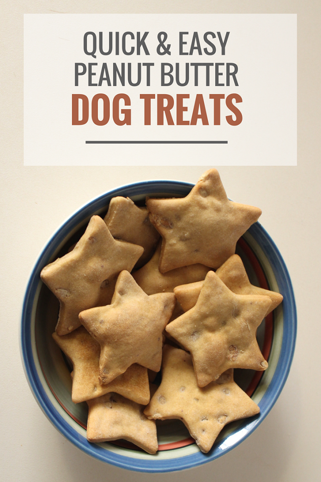 Quick & Easy Peanut Butter Dog Treats