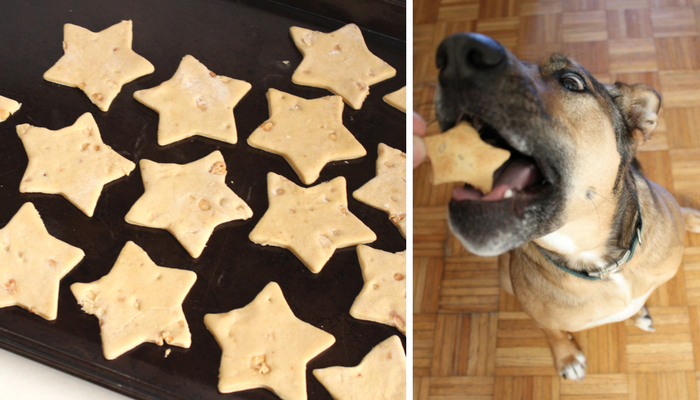 Easy Peanut Butter Dog Treats