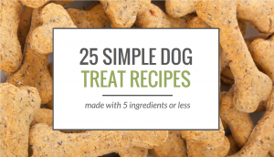 25 Simple Dog Treat Recipes