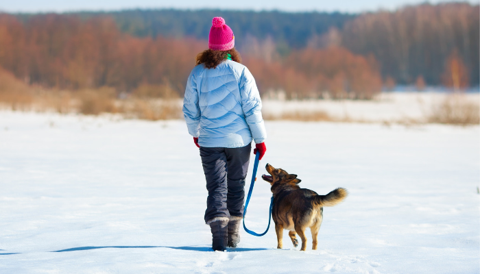 How to Teach Your Dog Good Leash Maners